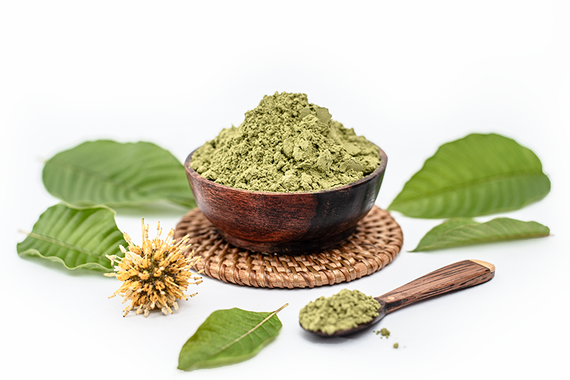 Bubuk kratom dalam mangkuk kayu dengan daun kratom segar, Hunter Kratom