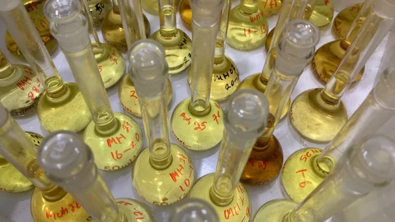 Deretan labu ukur 50 ml berisi larutan sampel dengan label tulisan tangan